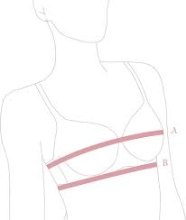 اندازه گیری سایز سوتین